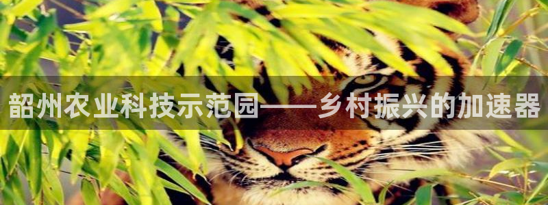 PG电子真人在线