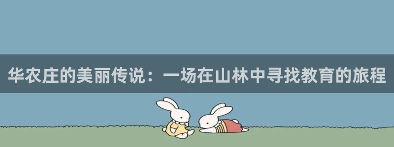 pg电子超市大比拼