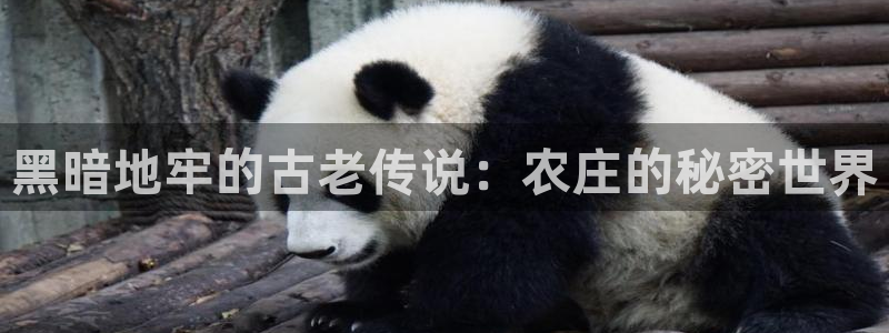 pg电子不给提现