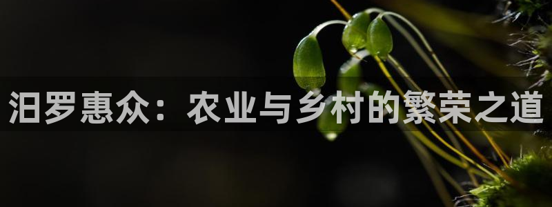 pg电子有没有诀窍