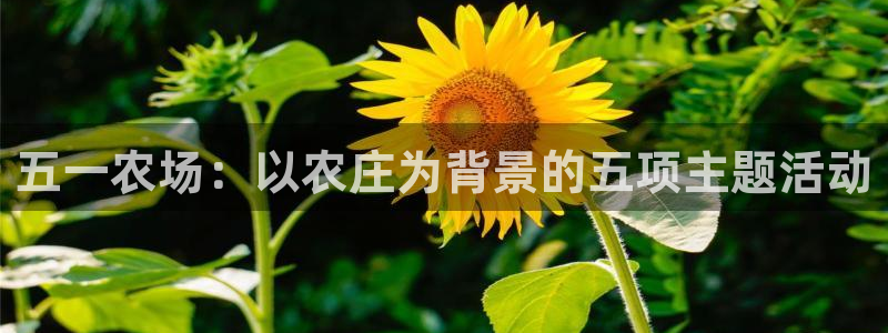 pg电子官方首页311