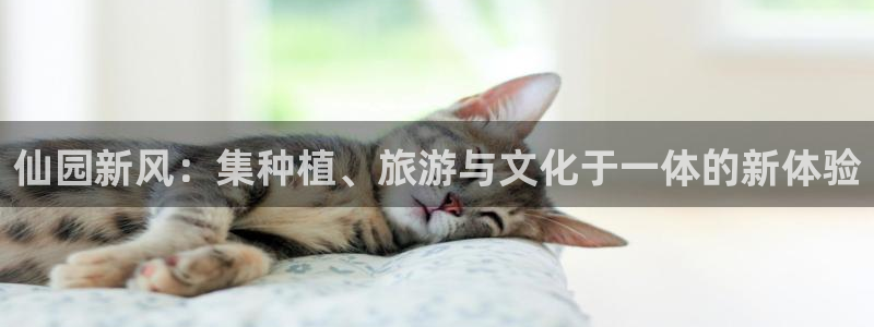 pg电子版有人玩吗