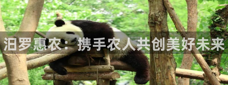 pg电子麻将胡牌规则