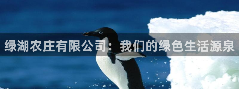 pg电子竞技游戏平台