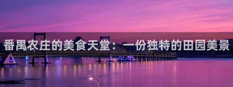 网站电子游戏PG怎么打