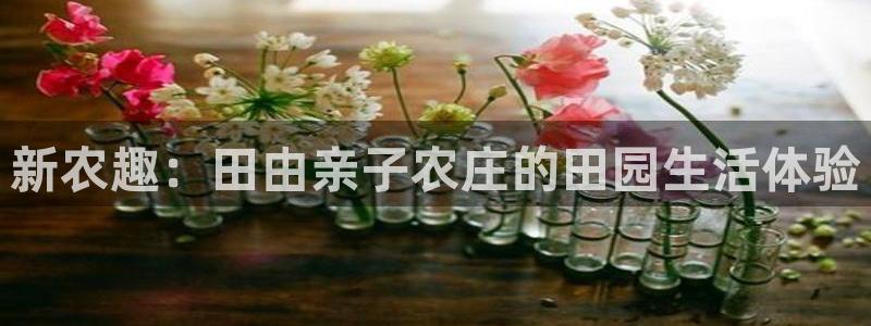 pg电子免费版ios