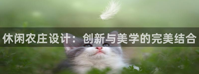 pg电子游戏非凡