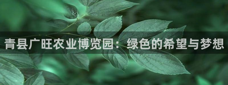 pg雪崩 电子说明书