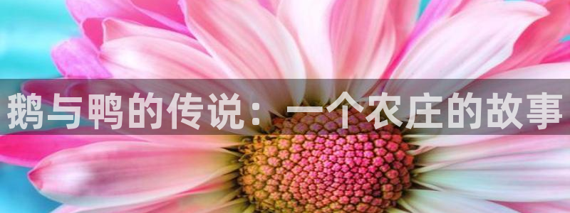 pg电子麻将胡了爆超级大奖下载