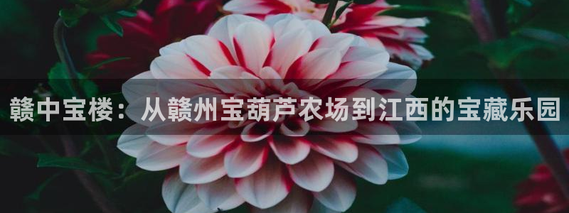 pg电子爆分视频