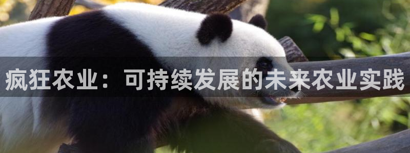 PG电子官网欣ly79