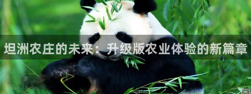 pg电子官方下载