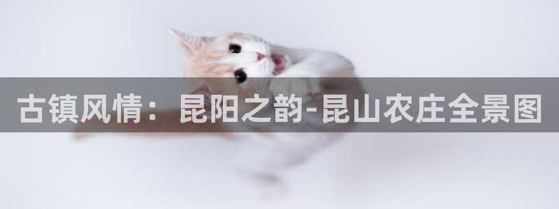 pg电子体验网站