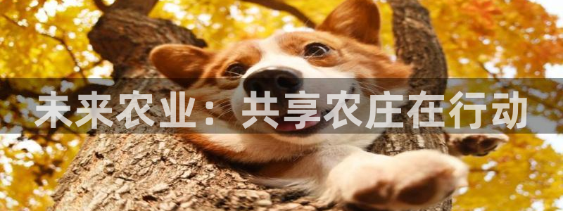 pg电子试玩网站