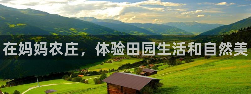 pg电子免费旋转退出后