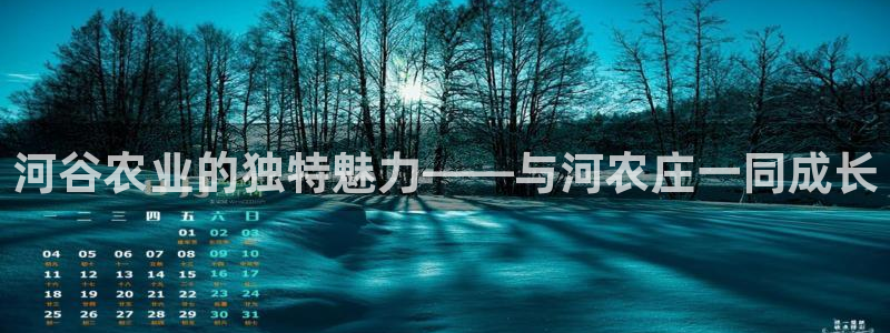 pg电子视频专区