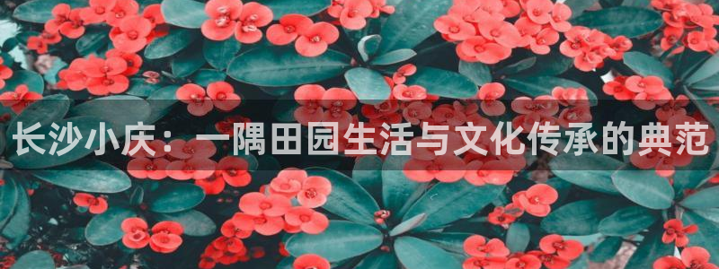 pg电子是赌博吗