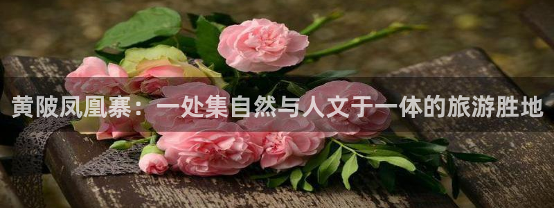 电子PG大奖视频