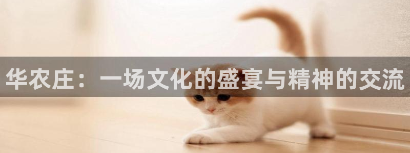 pg电子游戏到底公正吗