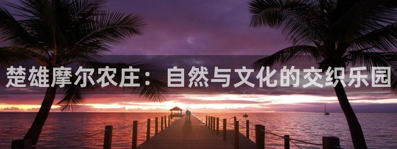 高爆率pg电子网址