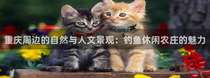 有没有PG电子可以试玩的平台