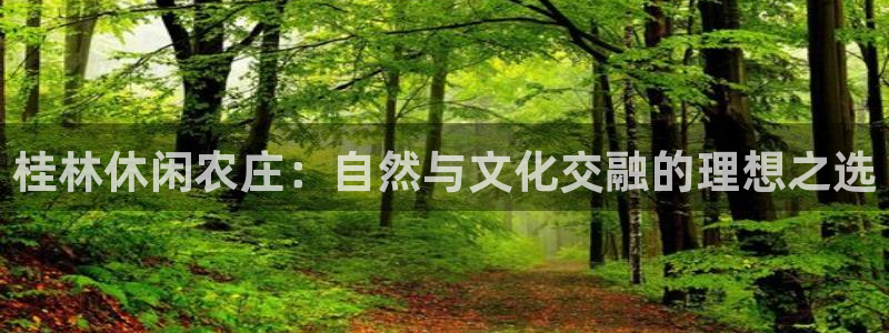 pg电子app全能版