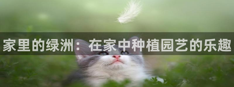 pg电子游戏模拟器