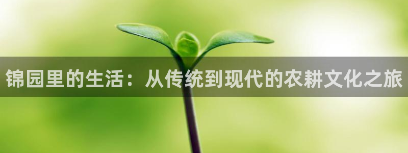 pg电子竞技游戏平台