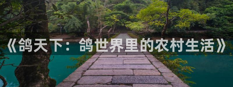 pg电子五个秋香视频