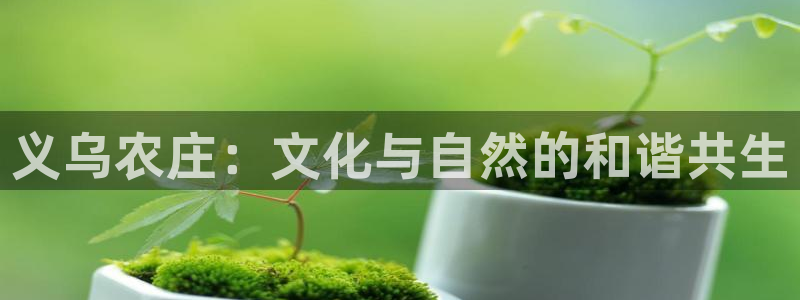 pg官方电子平台