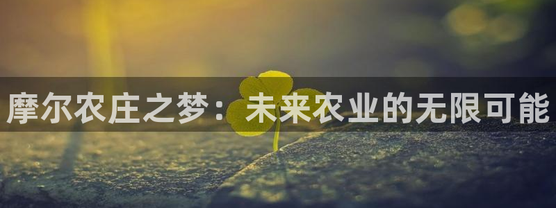 pg电子游戏搭建