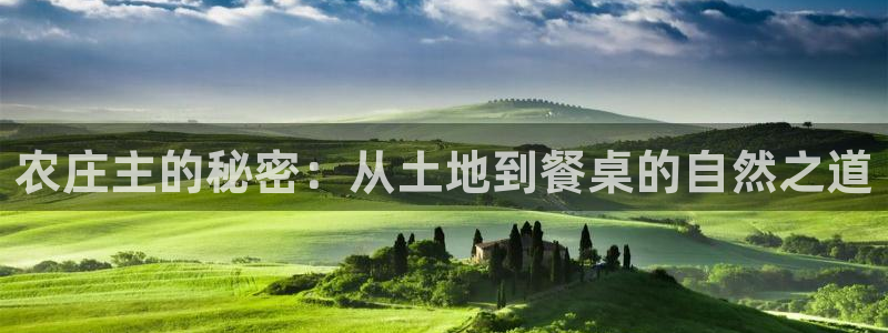 试玩pg电子游戏网址