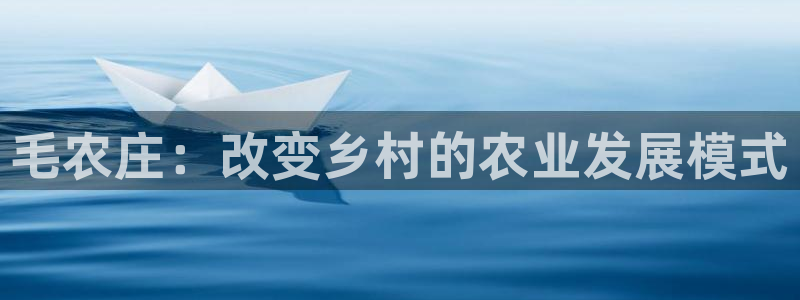 pg电子官方首页311