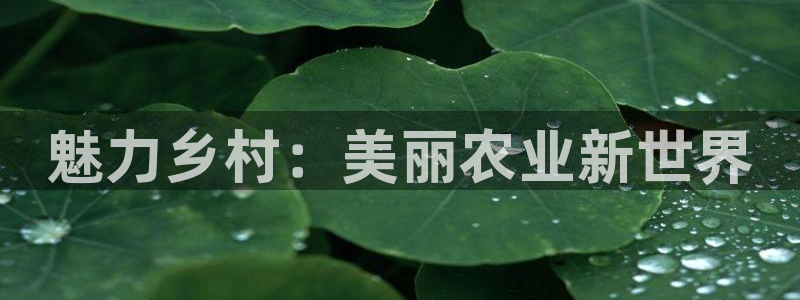 pg电子免费游戏视屏