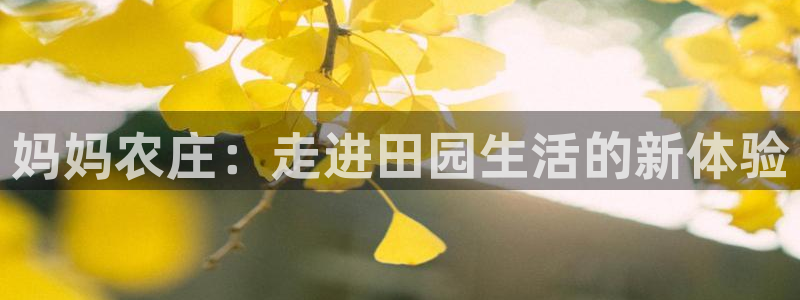 pg电子寻宝黄金城网址是什么