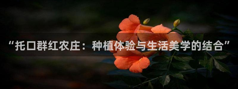 单机pg电子游戏