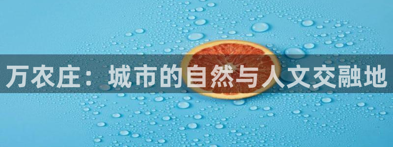 pg电子为什么这么难