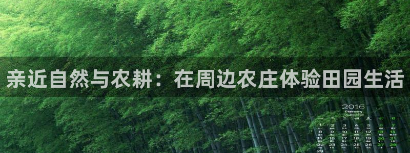 pg电子要怎样容易中奖