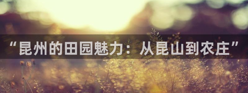 电子怎么藏分pg