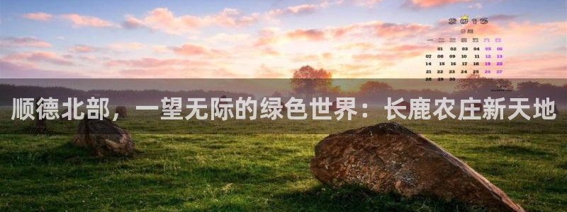 pg电子哪里玩破解版