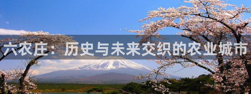 试玩pg电子平台