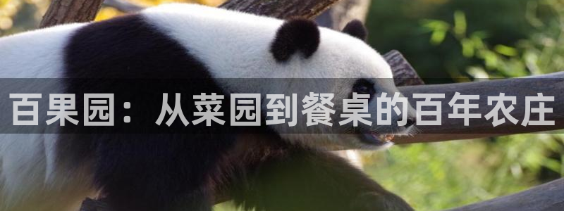 pg电子怎么赚钱