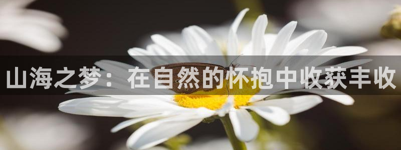 电子pg麻将胡了技巧