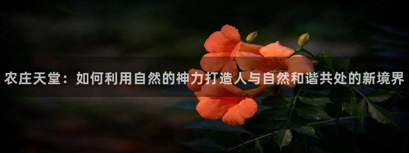 PG电子上岸技巧